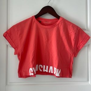 Gymshark Fraction Crop Top
